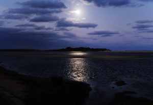 Moonlight on the lake.